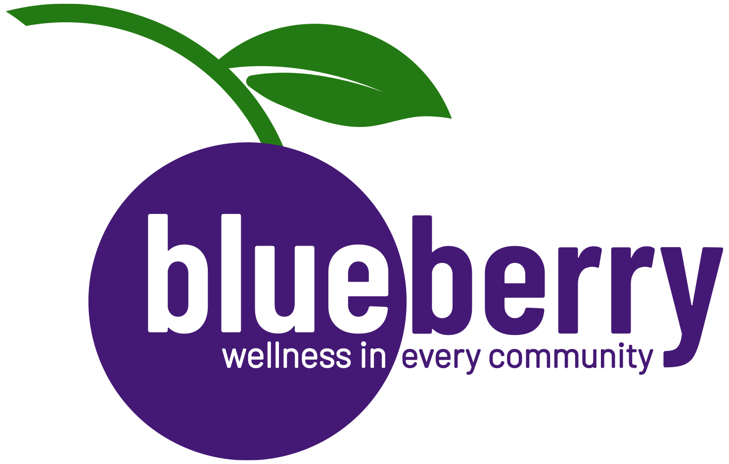 Blueberry Wellness