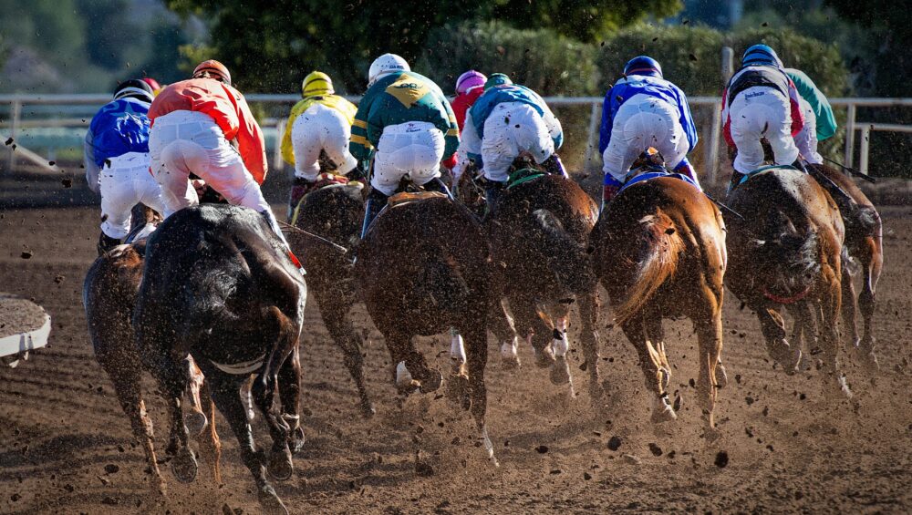 A group of horse riders