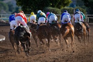 A group of horse riders